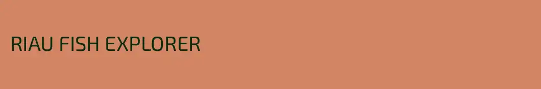 RIAU FISH EXPLORER